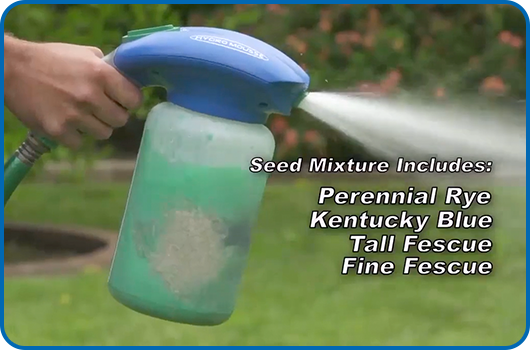 Seed mixture includes: Perennial Rye, Kentucky Blue, Tall Fescue, Fine Fescue